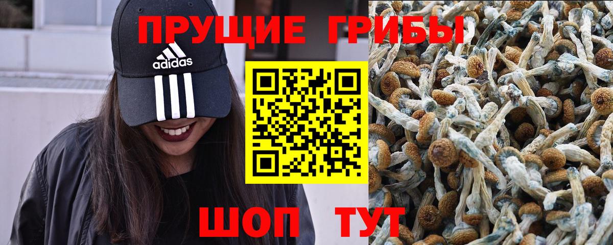 Томск  Псилоцибиновые грибы Psilocybine cubensis  Псилоцибиновые грибы MAGIC MUSHROOMS  Вход с VPN 